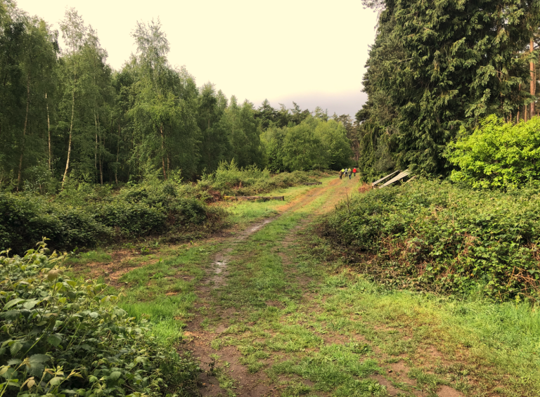 Houghton Estate site